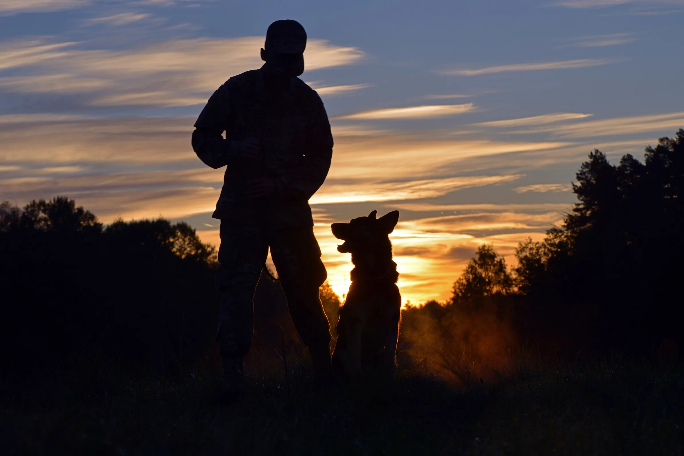 A handler and their dog sitting together at sunset
